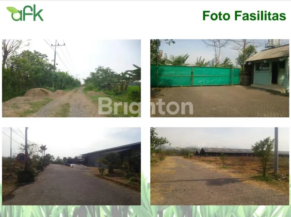 LAHAN SIAP PAKAI DI KERTOSARI, MOJOKERTO, PERUNTUKKAN PERTANIAN ATAU PETERNAKAN DSB