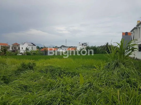 A LAND FOR RENT 35 YEARS IN KEDUNGU : 120 M2 NEAR KEDUNGU BEACH