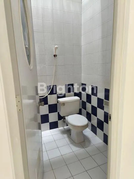 image CELLO CITRARAYA  (8)