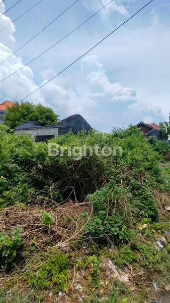 image PREMIUM LAND FOR SALE OR RENT UBUD (2)