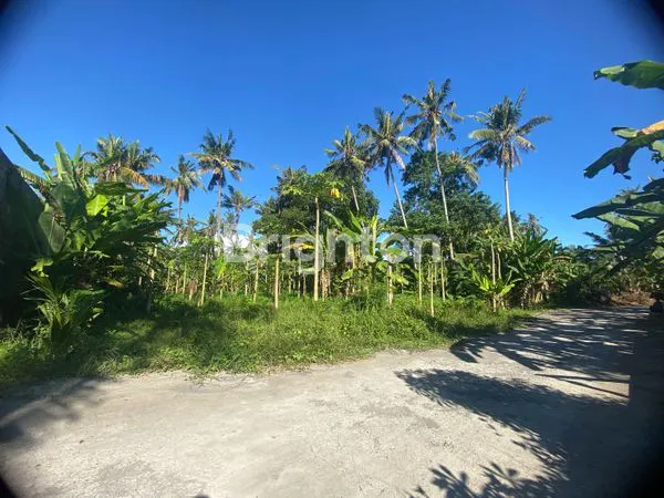 TANAH DEKAT PANTAI SABA PERING GIANYAR