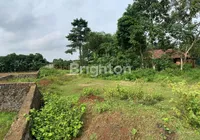 snapedit 1740954061359.jpg