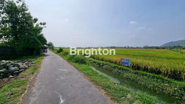 DIJUAL TANAH PERSAWAHAN DI TULUNG AGUNG