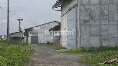 image GUDANG HITUNG TANAH TAMBAK DERES (4)