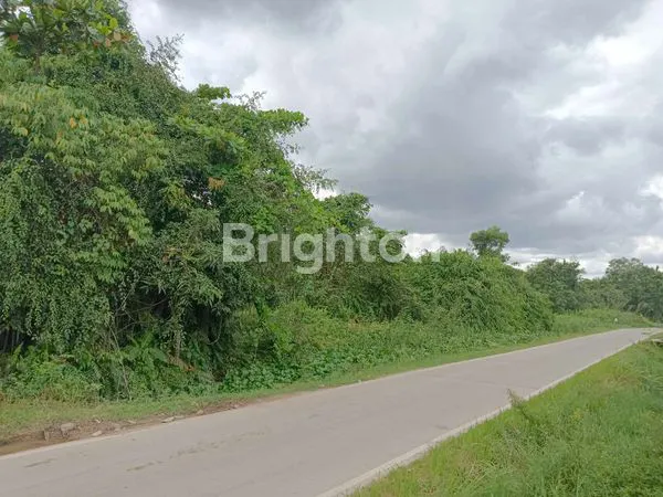 Gambar Property TANAH PINGGIR JALAN SAMBUTAN