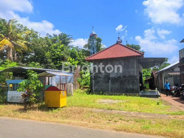 TANAH LUAS COCOK UNTUK PERUMAHAN DI TULUNGAGUNG