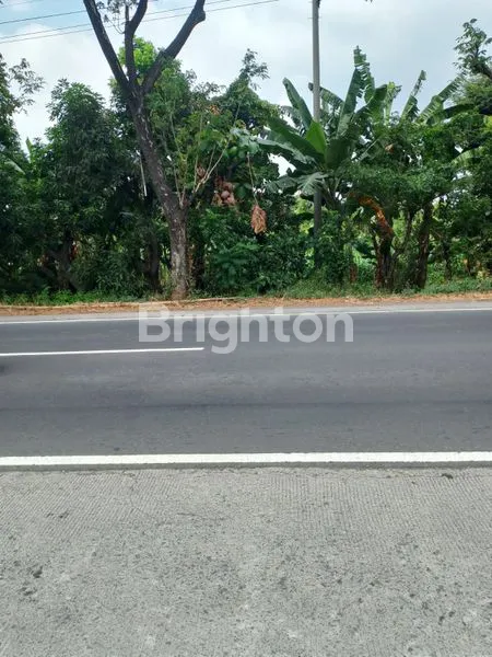 image DIJUAL TANAH INDUSTRI DI DESA WONOSARI KAB PASURUAN (3)