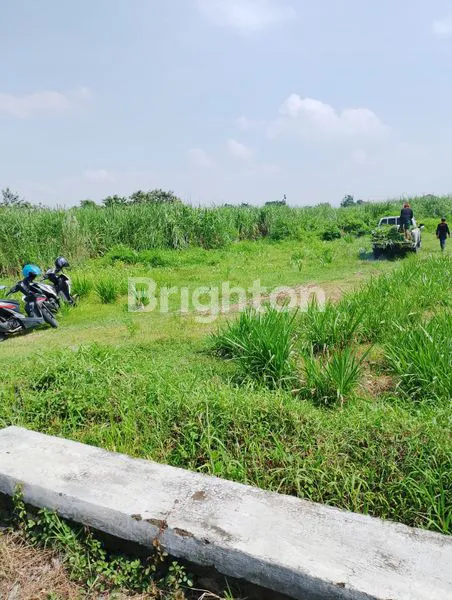 image DIJUAL TANAH KERING DI TULANGAN (1)