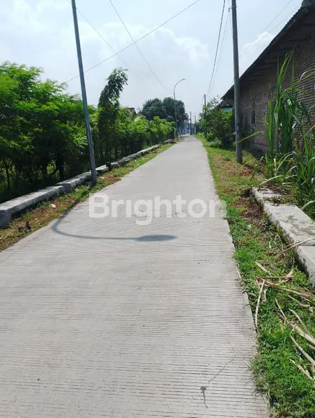 image DIJUAL TANAH KERING DI TULANGAN (3)