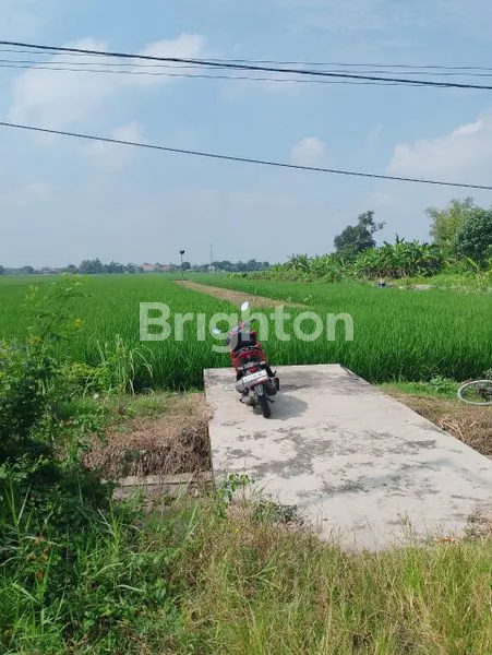 image DIJUAL TANAH ZONA INDUSTRI DI SAWOCANGRING SIDOARJO (4)