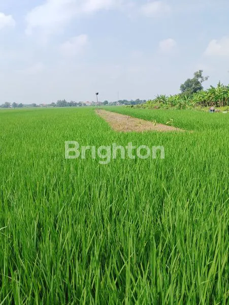 image DIJUAL TANAH ZONA INDUSTRI DI SAWOCANGRING SIDOARJO (3)