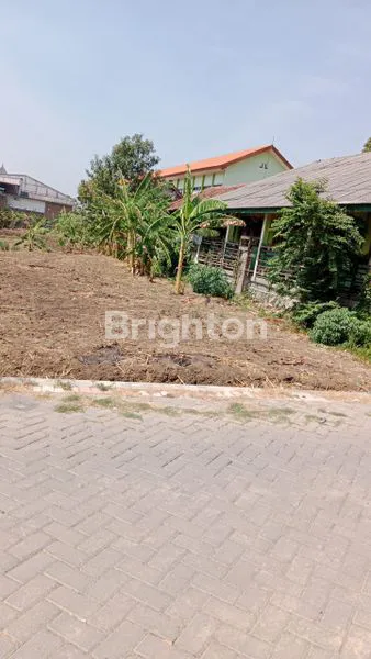 image MOJOSARIREJO DRIYOREJO (1)