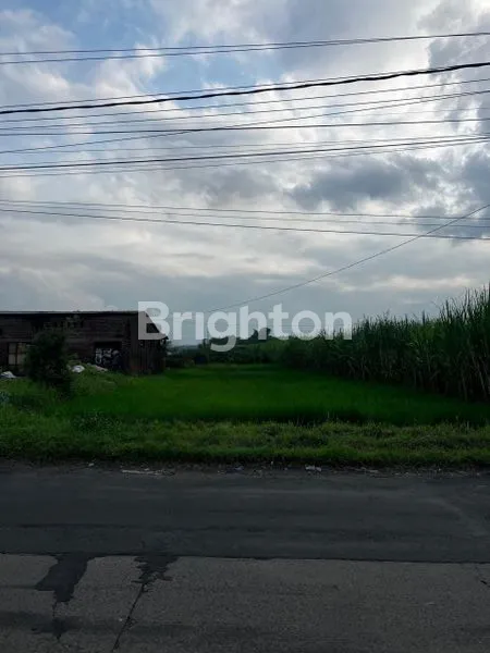 image TANAH PUNGGING MOJOKERTO (1)