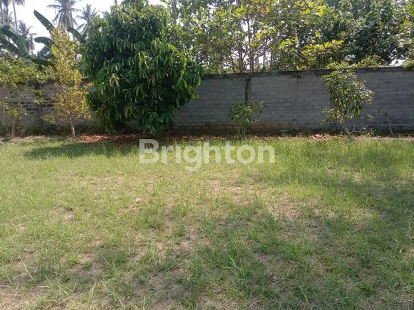 image TANAH LUAS DI AREA PANTAI MANGGAR (3)