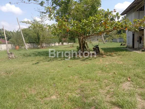 image TANAH LUAS DI AREA PANTAI MANGGAR (4)