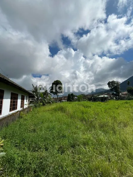 image TANAH GLOBAL COCOK UNTUK VILLA DAN HUNIAN DI BEDUGUL (2)