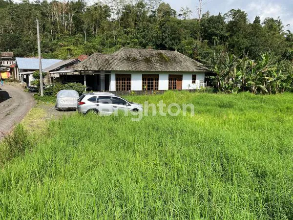 image TANAH GLOBAL COCOK UNTUK VILLA DAN HUNIAN DI BEDUGUL (3)