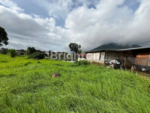 image TANAH GLOBAL COCOK UNTUK VILLA DAN HUNIAN DI BEDUGUL (1)