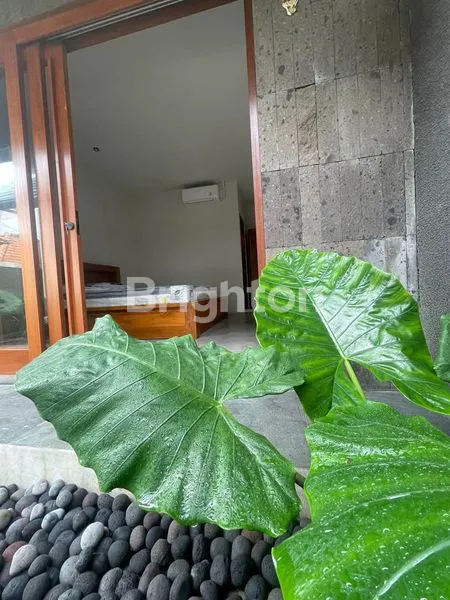 image FOR RENT BRAND NEW HOUSE IN SANUR AREA (5)