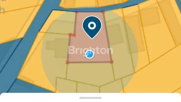 image TANAH GLOBAL COCOK UNTUK VILLA DAN HUNIAN DI BEDUGUL (4)