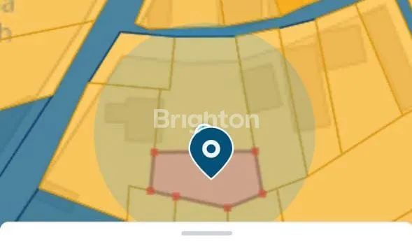 image TANAH GLOBAL COCOK UNTUK VILLA DAN HUNIAN DI BEDUGUL (5)