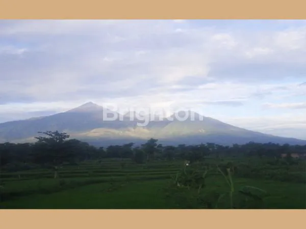 image VILLA MEWAH 20KT DI PANDERMAN HILLS, VIEW SPEKTAKULER KOTA BATU (4)