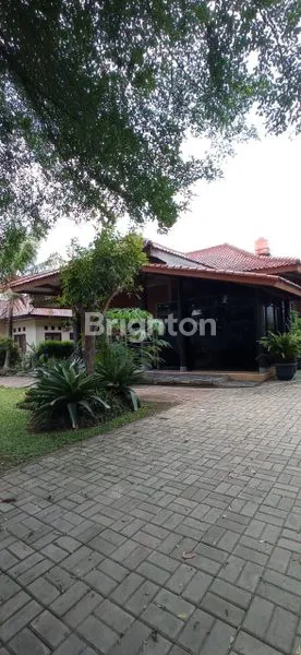 image RUMAH LUAS CINANGKA (5)