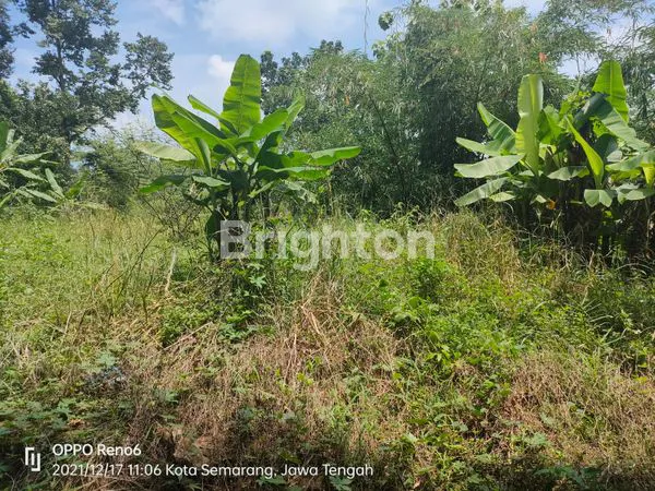 image TANAH STRATEGIS MURAH BINGIT HARGA JAUH DIBAWAH NJOP (4)