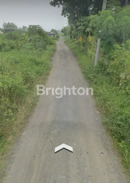 image GUDANG BEKAS PABRIK KAYU DI CARAT - JAPANAN GEMPOL PASURUAN DEKAT TOL BARU GEMPOL (5)