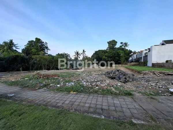 image TANAH MURAH PINGGIR JALAN UTAMA DHARMASABA BADUNG BALI (5)