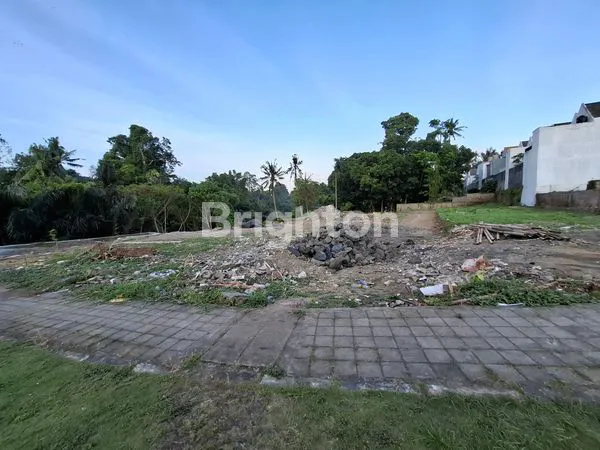 image TANAH MURAH PINGGIR JALAN UTAMA DHARMASABA BADUNG BALI (4)