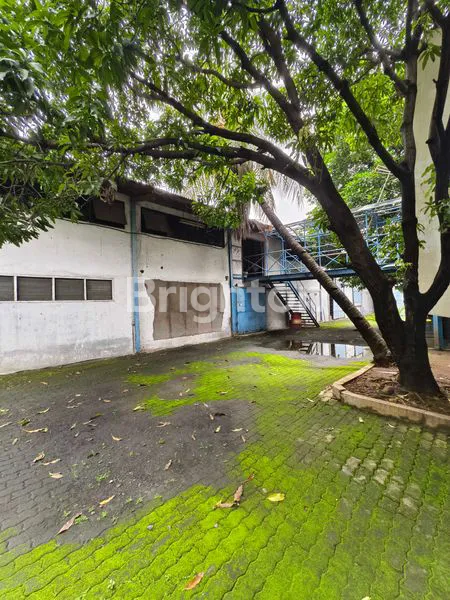 image TANAH KANTOR DAN GUDANG DAAN MOGOT 3000M2 HITUNG TANAH SAJA JAKARTA BARAT (6)