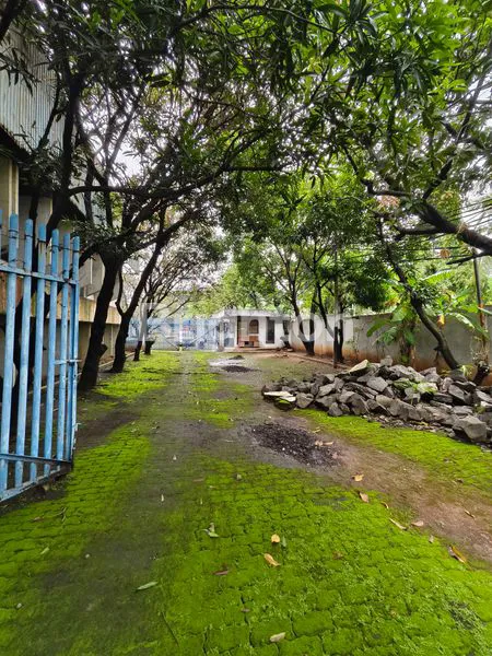 image TANAH KANTOR DAN GUDANG DAAN MOGOT 3000M2 HITUNG TANAH SAJA JAKARTA BARAT (4)
