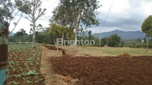 image DIJUAL VILLA CIWIDEY,  BANDUNG SELATAN (3)