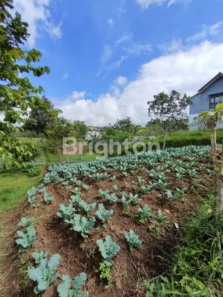image DIJUAL TANAH DI BUMIAJI BATU (2)