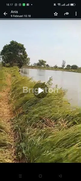 TANAH TAMBAK LAMONGAN