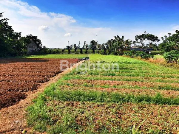 image TANAH PINGGIR JALAN RAYA BEBAS BANJIR BABELAN (3)