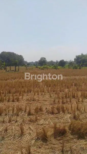 image DIJUAL TANAH MURAH DAN STRATEGIS  JALAN RAYA PROPINSI CARUBAN 1,44 HEKTAR ARE 26 M NEGO COCOK UNTUK PABRIK, GUDANG, PERUMAHAN (1)