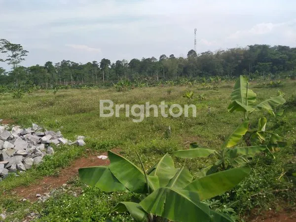 image  TANAH D SEMARANG 40HA (2)