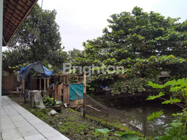image TANAH DARAT  JARAK 15 MENIT KE KAMPUS IPB DRAMAGA BOGOR  (6)