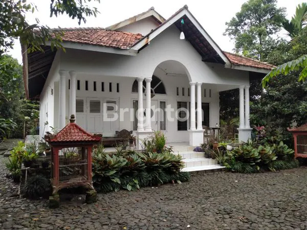 image TANAH DARAT  JARAK 15 MENIT KE KAMPUS IPB DRAMAGA BOGOR  (2)