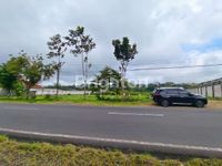 IMG 20250220 WA00061