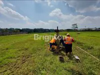 IMG 20250123 WA00771