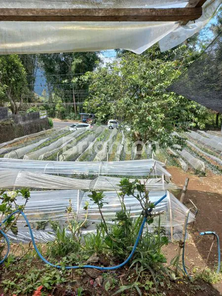 image TANAH 14 ARE PINGGIR JALAN RAYA CANDI KUNING (5)