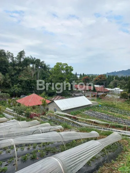 image TANAH 14 ARE PINGGIR JALAN RAYA CANDI KUNING (2)