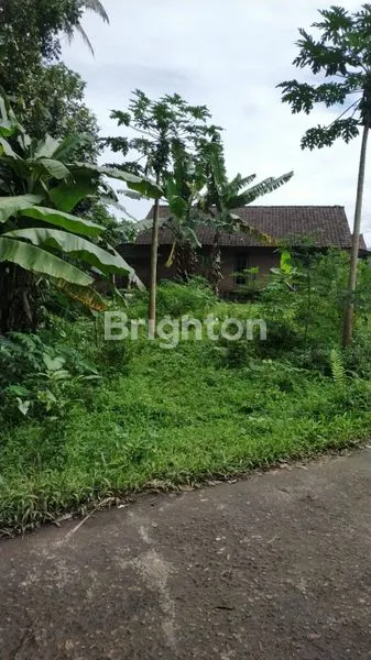 image RUMAH LAHAN LUAS UJUNG-UJUNG SALATIGA (4)