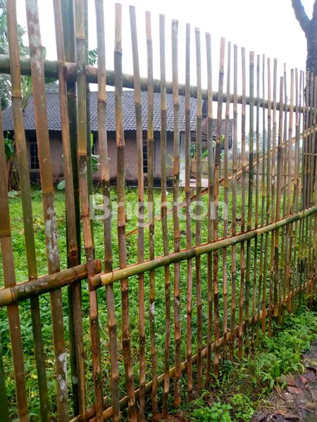 image RUMAH LAHAN LUAS UJUNG-UJUNG SALATIGA (5)