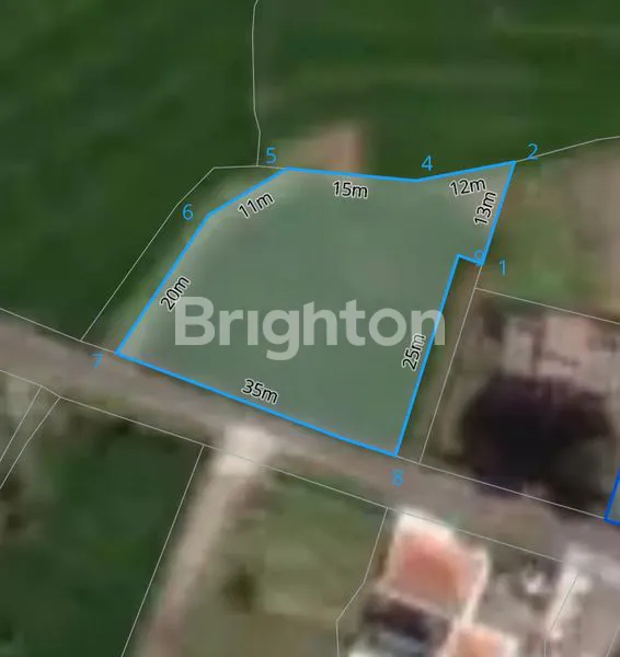 TANAH PINGGIR JALAN CEMAGI PERERENAN