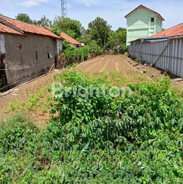 image TANAH STRATEGIS PINGGIR JALAN RAYA DI BABELAN (2)