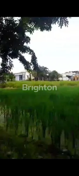 image TANAH RESIDENSIAL LUAS DI CERME KIDUL, GRESIK (1)